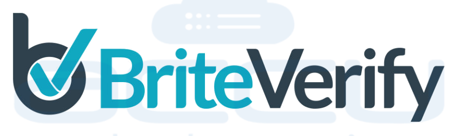 BriteVerify - Bulk Email Verifier