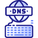 Show DNS Records