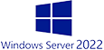 Windows Server 2022 Logo