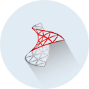 Microsoft SQL Server 2012 Database Microsoft SQL Server 2012 Database