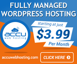 Fully Managed WordPress Hosting on SSD Drive